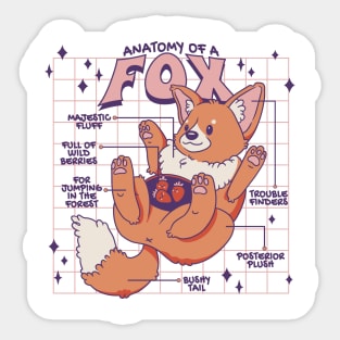 Anatomy Of A Fox Cute Funny Fox Design Sticker